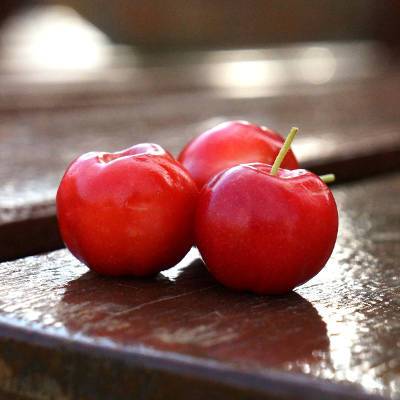 Acerola : complément alimentaire riche en vitamine C