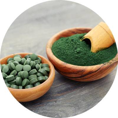 Vente en ligne de spiruline pour chat et chien