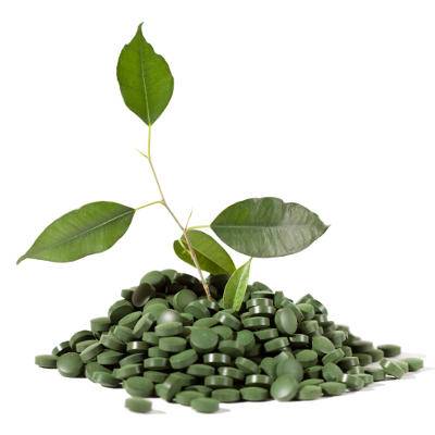 Vente en ligne de spiruline platensis